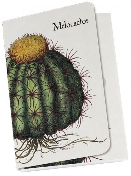 Taschenblöckchen "Kaktus aus dem Garten von Eichstätt"
