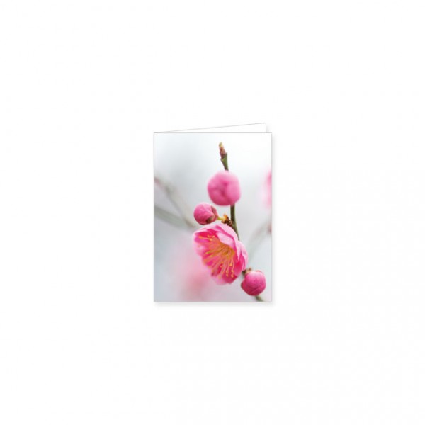 Mini-Doppelkarte "Kirschblüten"