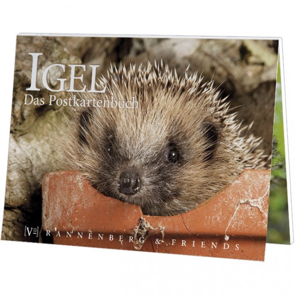 Postkartenbuch 'Igel'