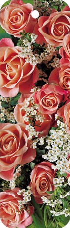 Lesezeichen "Rosa Rosen und Weißdorn"