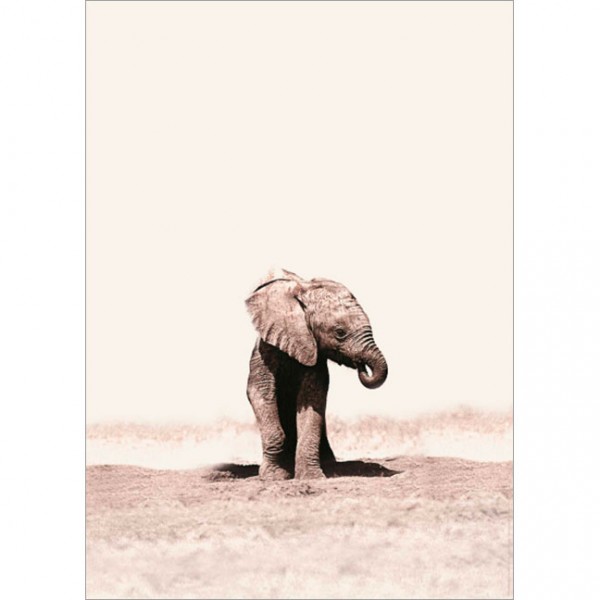 Poster "Elefant"