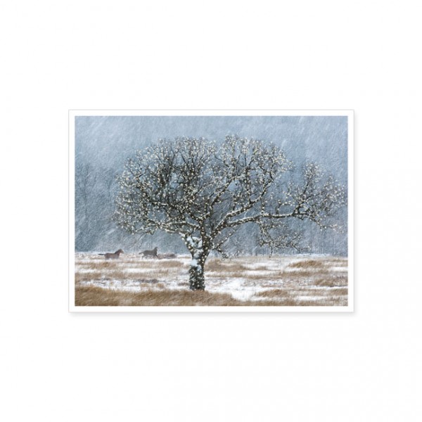 Postkarte "Übers Schnee bedeckte Feld..."