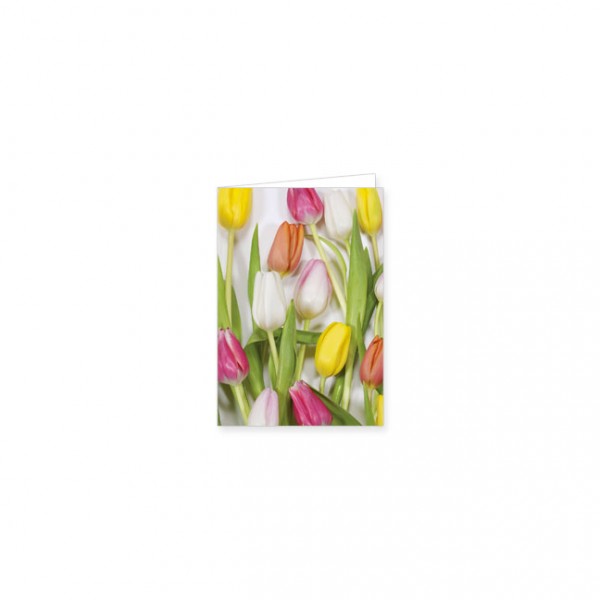 Mini-Doppelkarte "Bunte Tulpen"