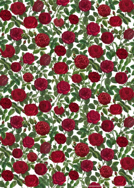 Geschenkpapier "Rote Rosen"