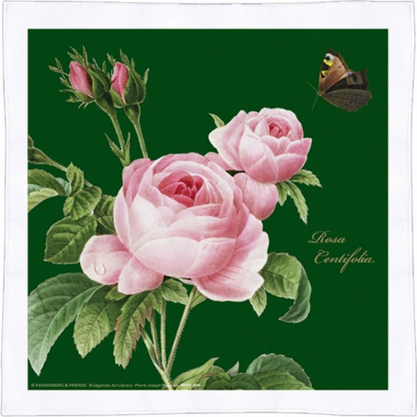 Spültuch 'Rosa centifolia'