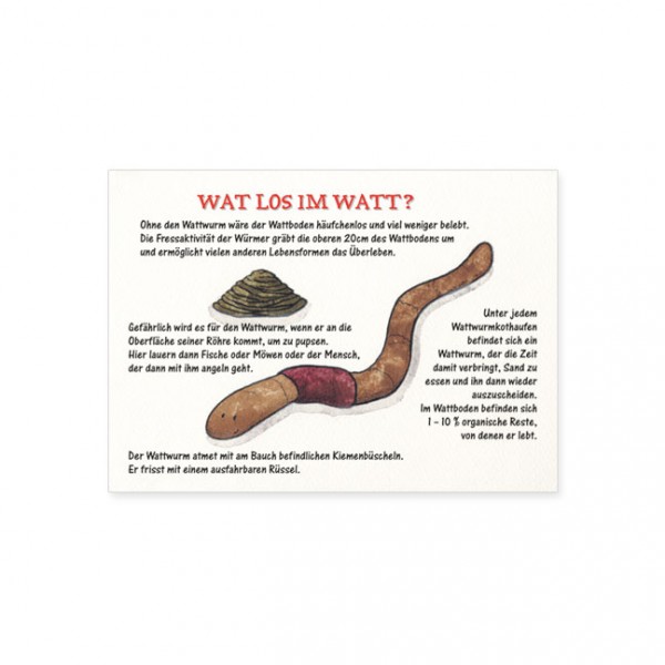Postkarte "Wat los im Watt?"