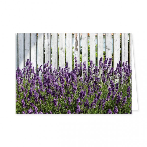Doppelkarte "Lavendel am Zaun"