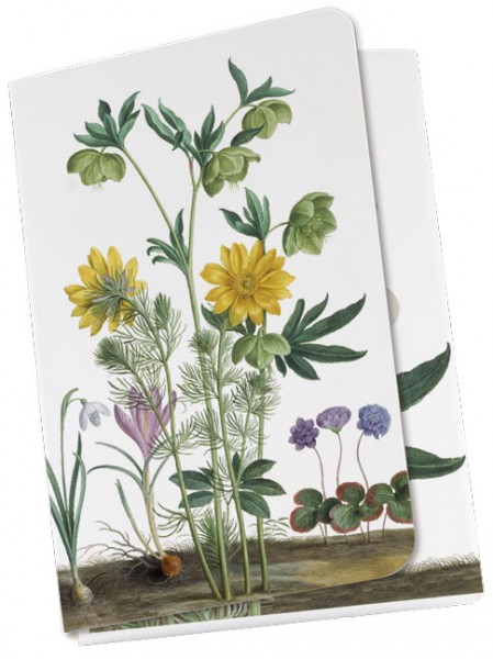 Taschennotizblöckchen 'Christrose mit Allerlei aus dem Nassau Florilegium'