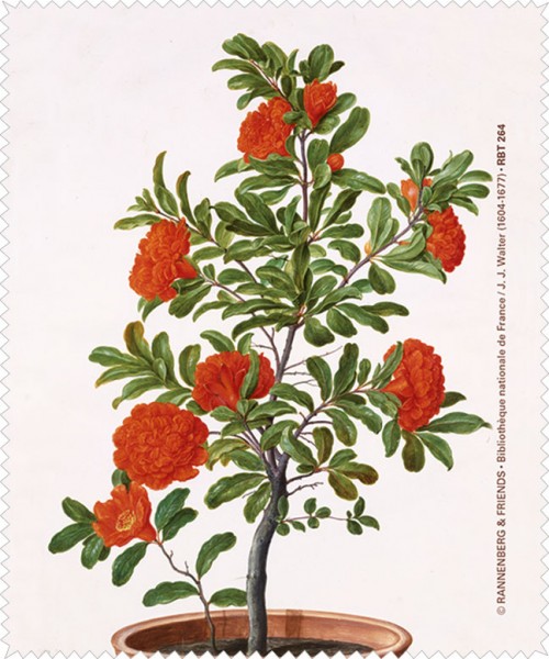 Brillenputztuch 'Granatapfel aus dem Nassau Florilegium'