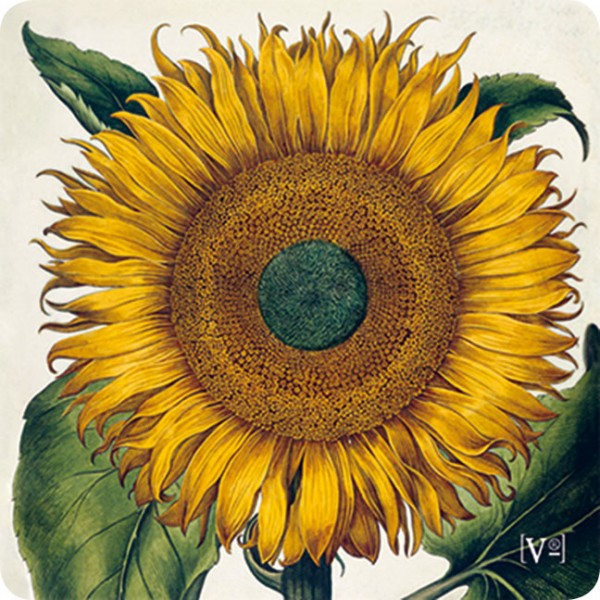 Handy-Putzi Large 'Sonnenblume'
