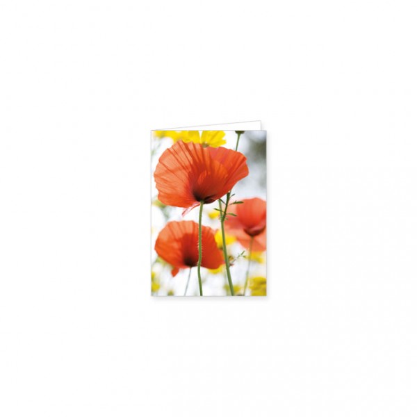Mini-Doppelkarte "Rote Mohnblumen"