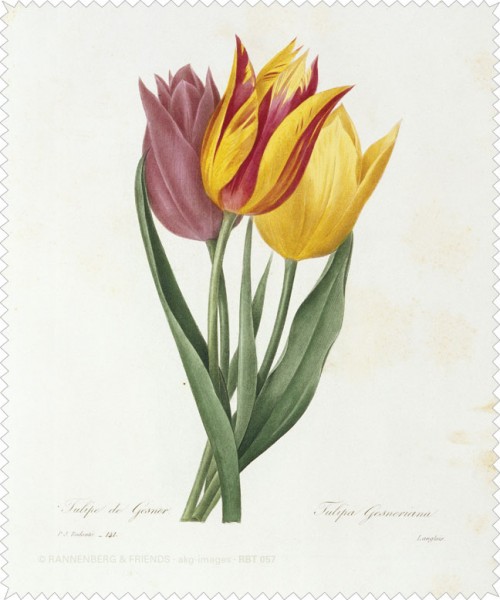 Brillenputztuch "Tulipe"