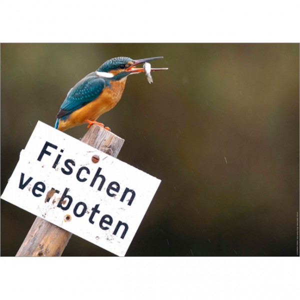 Poster "Fischen verboten"
