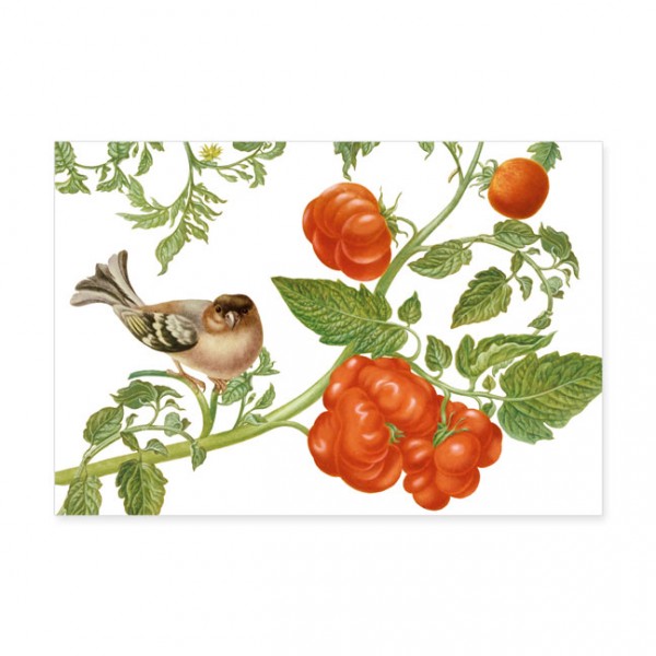 Postkarten Large "Lilien aus "Tomaten und Buchfink"