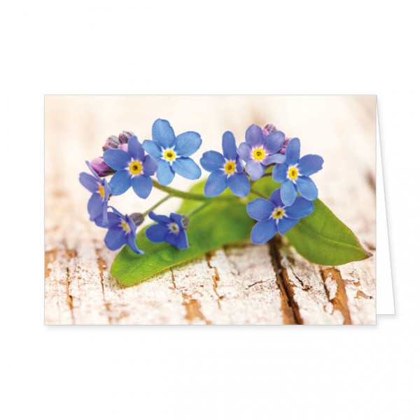Doppelkarte "Vergissmeinnicht-Blüten auf Holz"