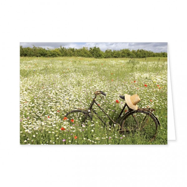 Doppelkarten "Fahrrad in Wildblumenwiese"