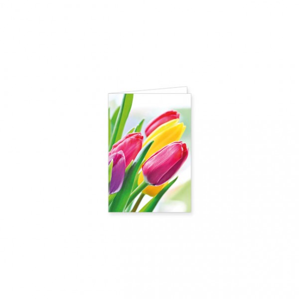 Mini-Doppelkarte "Endlich Frühling"