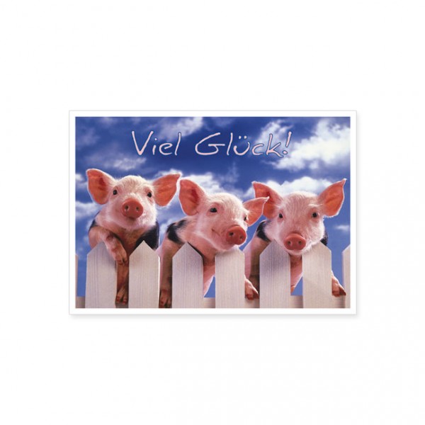 Postkarte "Schweinchen zu dritt"