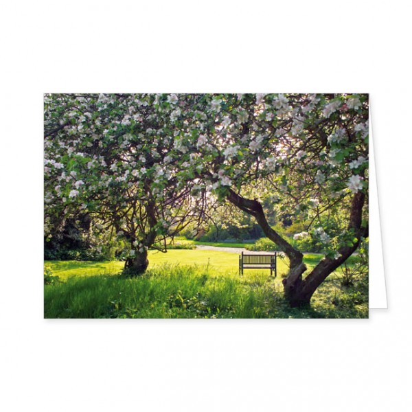 Doppelkarte "Apfelblüte"