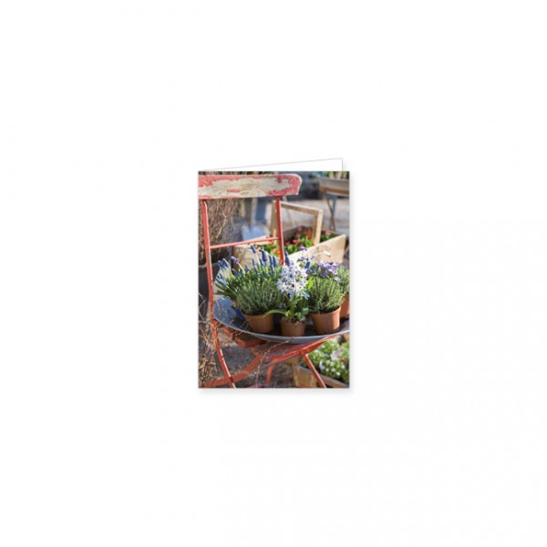Mini-Doppelkarte "Gartenstuhl mit Hyazinthen"