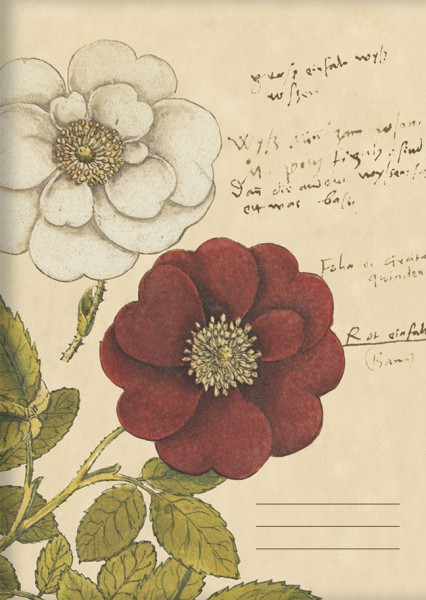 Kladden A6 'Rosen aus Conrad Gesner Historia Plantarum'