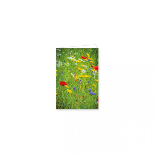 Mini-Doppelkarte "Wildblumen"