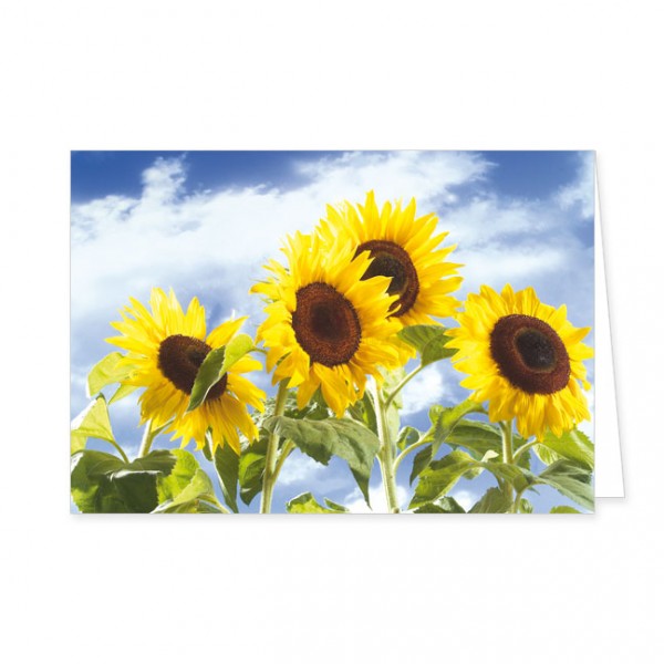 Doppelkarte "Sonnenblumengruppe"