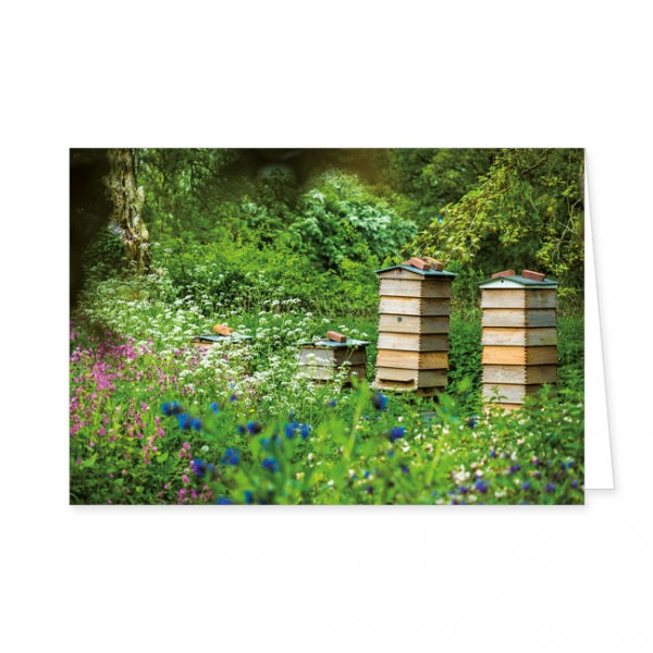Doppelkarte "Bienenstock auf der Wiese"