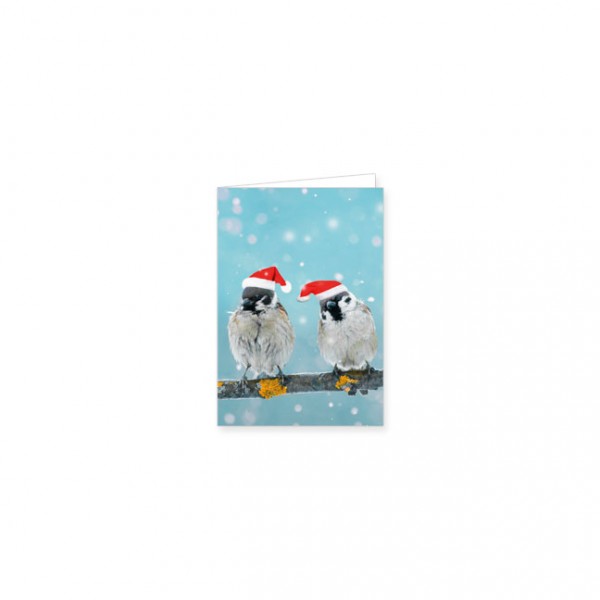 Mini-Doppelkarte X-Mas "Zwei Spatzen mit Weihnachtsmützen"