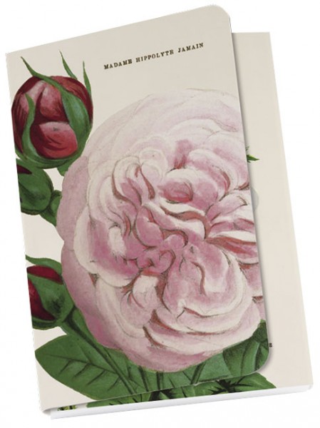 Taschennotizblöckchen "Zartrosa "Alte Gartenrosen""