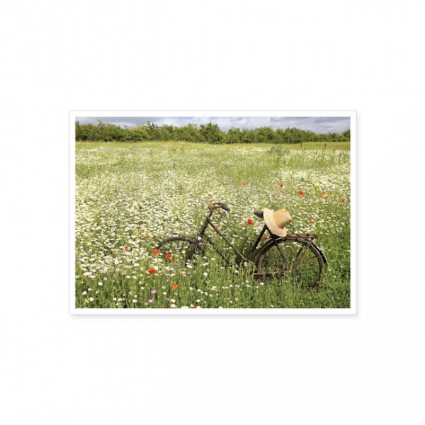 Postkarte "Fahrrad in Wildblumenwiese"